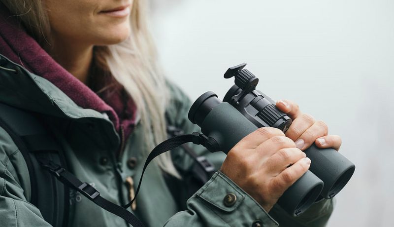 Swarovski 10x42 NL Pure Binoculars