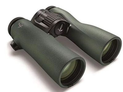 Swarovski 10x42 NL Pure Binoculars